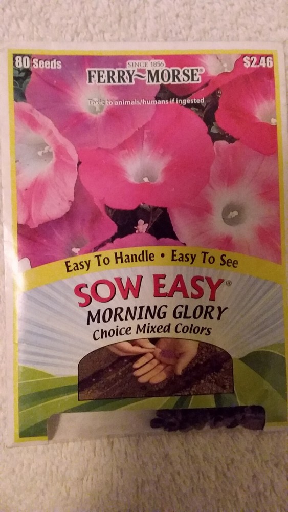 Morning Glory Flower Seeds – 14 days to germination 12/22
