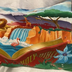 MyPillow Children’s (My Pillow & Pillowcase) Creation Story 12″ X18″ Made In USA