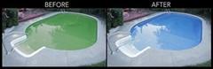 Rx Clear Swimming Pool 60 Plus Prevents Algaecide Chemical – 6 x 1 Quart Bottles