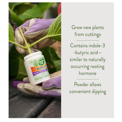 2 Pack Garden Safe Takeroot Rooting Hormone, New Plants Growth Powder – 2 Oz
