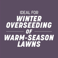 Pennington Annual Ryegrass Grass Seed Full Sun Partial Shade 10 lb Bag New