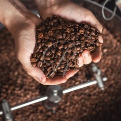 5 lbs of AUTHENTIC Kona Extra Fancy Coffee – Free Shipping!