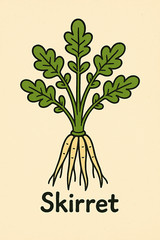 Skirret (Sium sisarum) Perennial Root Vegetable – 25+ Seeds (2024 crop)