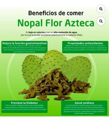 Flor Azteca Nopales Tender Cactus Slices 29oz – Authentic Mexican Food