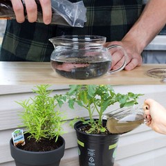 Organic Worm Castings, All Natural Soil Amendment, Soil Builder, and Fertilize