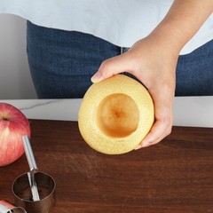 Fruit Corer Removal Tool Remover Fruits Pear Pitter and Vegetable Extractor US
