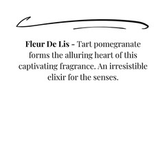 Tyler Candle Company Jar Candle | Fleur De Lis (choose size)