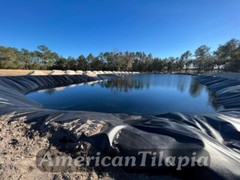 Pond liner 100×80 Strong,HDRPE 40 year Durability,Commercial grade for Fish pond