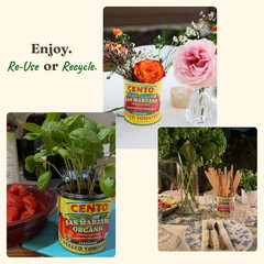 Certified San Marzano Whole Peeled Tomatoes 28 Oz (Pack of 6) Canned Plum Toma