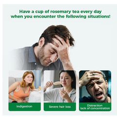 60 Count Premium Rosemary Leaf Tea Bags – 100% Pure Natural Rosemary Leaves