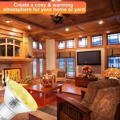 Par20 Bulbs, 6 Pcs 120V 50W Light 6 Count (Pack of 1), Warm White