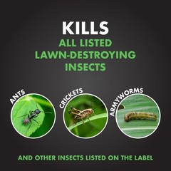 Spectracide Triazicide Insect Killer for Lawns Granules Kill Lawn-Damaging 10LB