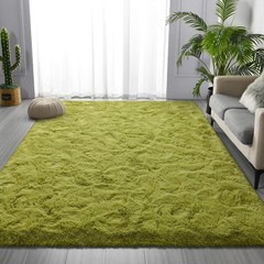 Ultra Soft Fluffy Green Rug – Shag Bedroom Carpet