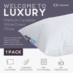 Lincove Cloud Natural Canadian White Down Luxury Sleeping Pillow