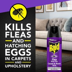 Raid Flea Killer Carpet & Room Spray, Kills hatching 16 Ounce (Pack of 1)