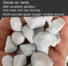 10QT Organic Perlite Horticultural Soil Amendment for Plants & Drainage