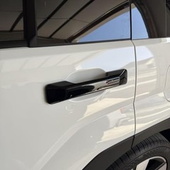 AOKIO Compatible with 2024 2025 Hyundai Santa Fe Accessories Door Glossy Black