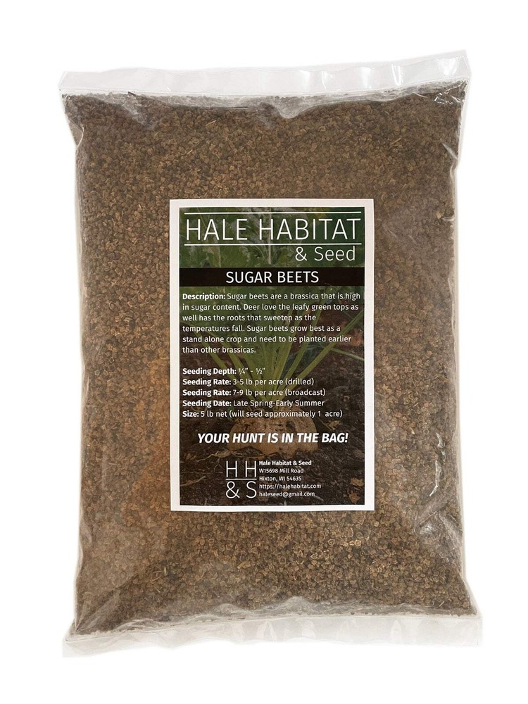Sugar Beet Seed | Deer Wildlife Food Plot Forage Fall Planting Habitat Root Crop