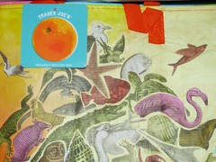 Trader Joe’s – Reusable Grocery Bag – Florida