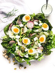 Freckles Romaine Lettuce Seeds | Lactuca Red Speckled Leaf Vegetable Seed 2024