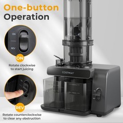 Cold Press Juicer with 5.3″ Feed Chute, 28oz Capacity, 43 RPM