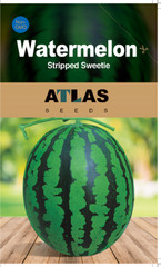 Sweet Tiger Baby Watermelon Seeds 50+ Non-GMO Ultra Sweet Easy Grow