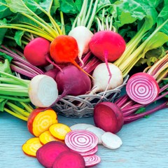 Rainbow Mix Beet Seeds, 4 Species, (Detroit Dark Red & Golden, Chioggia, White)