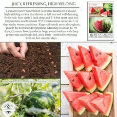 Crimson Sweet Watermelon Seeds (Citrullus lanatus) – 150+ Non-GMO & Heirloom
