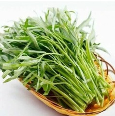 2025Aug. NEW! water spinach ong choy 4000+ seeds （200g） Vegetable