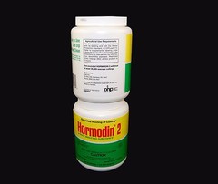 Hormodin #2 Rooting Hormone Powder- 1 lb Jar 0.3% IBA Root Stimulant-Propagation