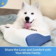 | DERILA® | Memory Foam Contour Pillow | Ergonomic Design for Neck Pain, Snoring