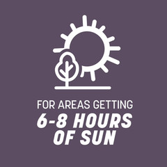 Pennington Annual Ryegrass Grass Seed Full Sun Partial Shade 10 lb Bag New