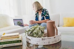 Xerographica Air Plants-Varied Sizes, Wholesale Bulk, Easy Care, 30Day Guarantee