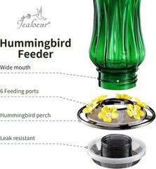 Charming Green 18 OZ Hummingbird Feeder with 6 Feeding Ports & Built-in Ant Moat