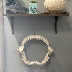 Replica Shark Jaw 15.5in Resin Wall Sculpture Coastal Ocean Nautical Decor