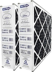 Trion Air Bear 288649-202 (2-Pack) – 20″ x 25″ x 5″ Air Filter with Carbon
