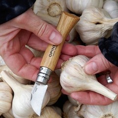CHESTNUT & GARLIC KNIFE