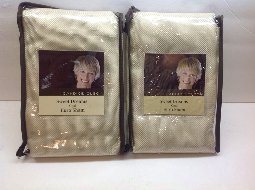 Candice Olson Sweet Dreams OPAL~BLUE MIST EURO SHAM NIP! MSRP $45!