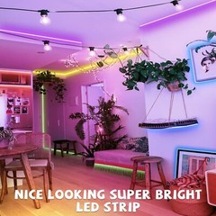 110V 480Leds/m Waterproof COB LED Neon Strip Lights for In/Outdoor Building Room