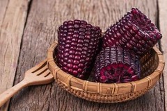 2.000+ Purple Waxy Corn Seedss (Zea mays ceratina) For Planting