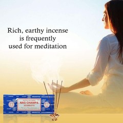 Satya Sai Baba Nag Champa Agarbatti Pack of 2 Incense Sticks Boxes 250gms Each