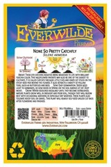 2000 None So Pretty Catchfly Wildflower Seeds – Everwilde Farms Mylar Packet