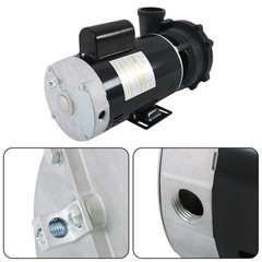 Executive 56-Frame 4HP Dual-Speed Spa Pump, 2in Intake, 2in Discharge