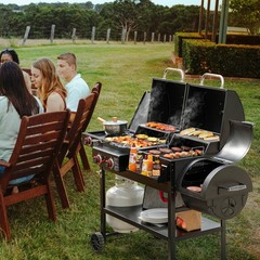 Royal Gourmet 2-Burner Gas and Charcoal Combo Grill