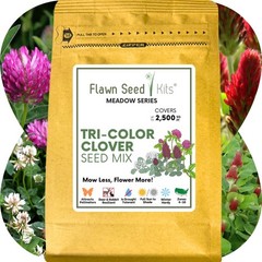 Flawn Seed Kits Tri-Color Clover Seed, Equal Mix 3 Clovers, Flowering Lawn