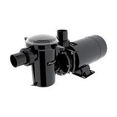 Raypak Protege AGP Above Ground Pool Pump, 1.0 HP Motor, 1.5 in PVC Union
