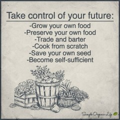 Seeds,Emergency,Survival Non-GMO,Organic,Heirloom 80 Pkgs 40 DifferentVarieties