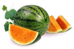50 TENDERSWEET ORANGE WATERMELON Citrullus Lanatus Fruit Melon Seeds