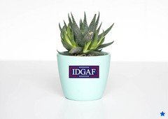 IDGAF Decal Sticker Political Trump MAGA Newsom USA Vote Nobody Independent None