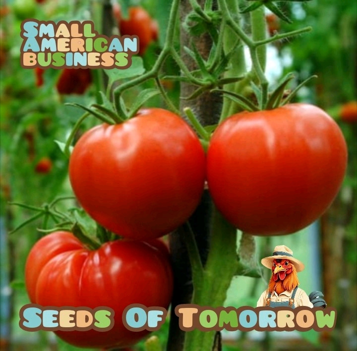 200 Rutgers Tomato Seeds-with Bonus! |Organic Non-GMO Heirloom